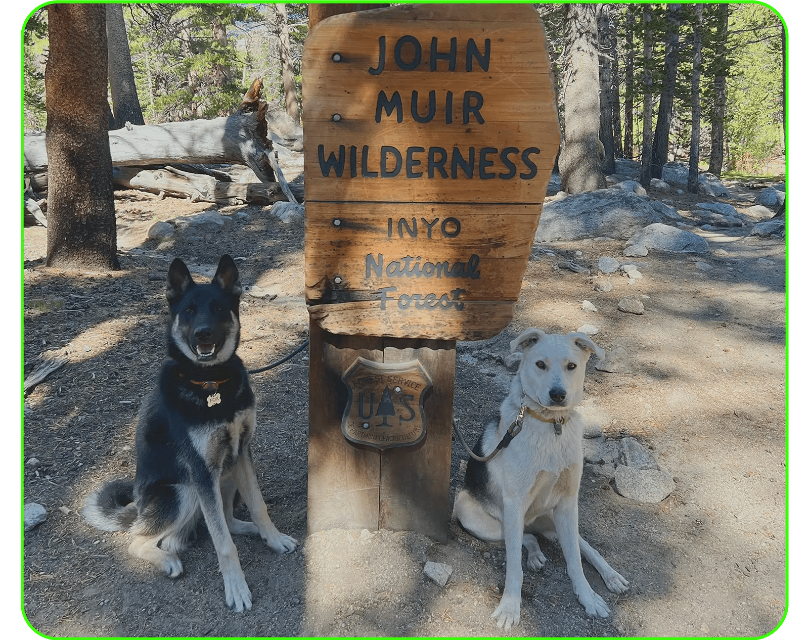 Backpacking with Dogs - Articles In Common