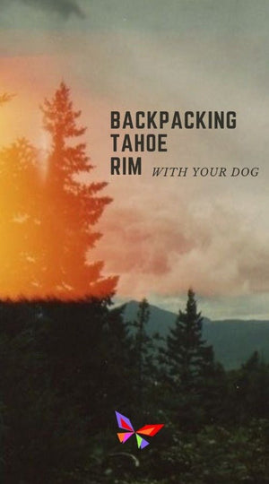 Thru Hiking with Dogs - Articles In Common